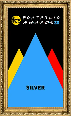 Financial Communications Society - SILVER Award Winner 2024 B2B Websites